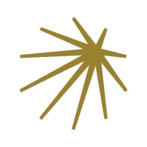 شركة مشارق المتميزة